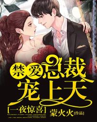 一夜惊喜,禁爱总裁宠上天 一夜惊喜,禁爱总裁宠上天