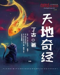 天地奇经 天地奇经