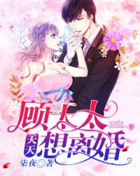 ��̫̫���������